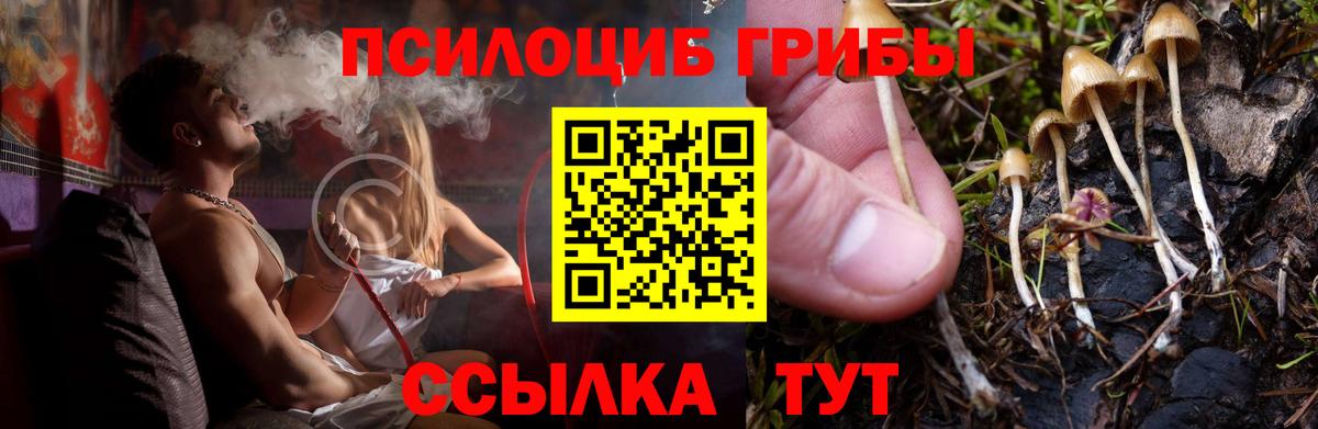 Псилоцибиновые грибы мухоморы  Вход с VPN  Галлюциногенные грибы прущие грибы  Каспийск 